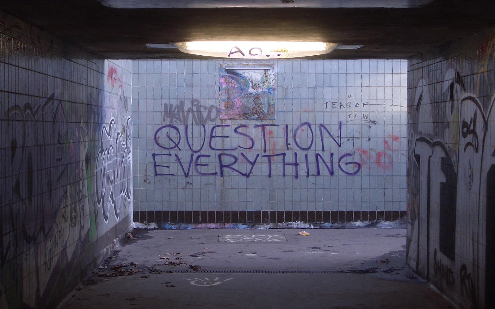 Question everything graffiti